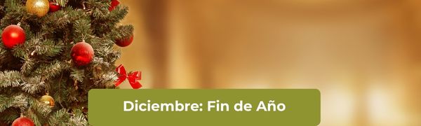 Festivos Diciembre 2024